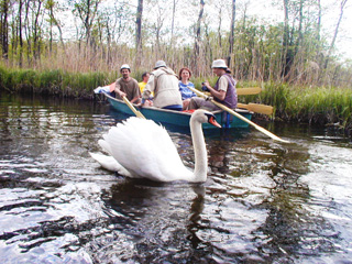 Boatado 2004 (Foto de Choe Taesok)